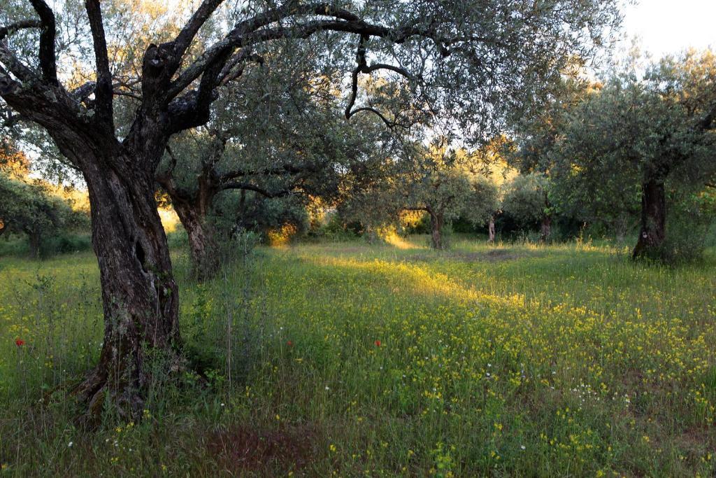 Hotel Restaurant Le Gardon - Pont Du Gard Collias Екстериор снимка